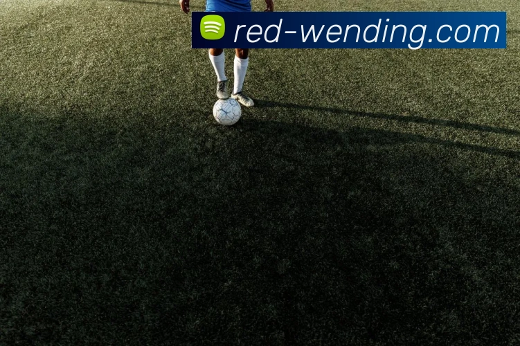 问鼎娱乐APP 体育赛事宣传图